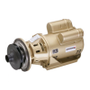 Armstrong 110108MF-677 Raypak 2 Boiler Header Pump