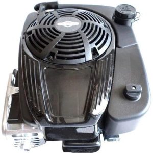 Briggs Stratton 121S02 0130 F2 Vertical Engine