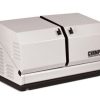 Champion 8.5kW Home Standby Generator 100199