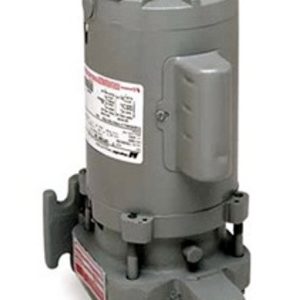 HOFFMAN 180001 609PF Watchman Pump