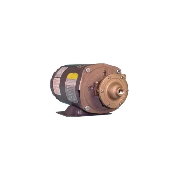 Oberdorfer 101M-F13 Centrifugal Pump