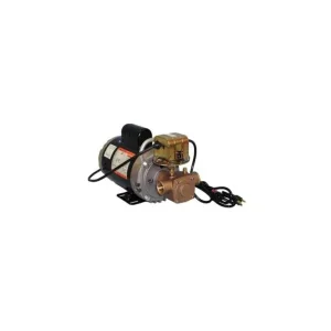 Oberdorfer 405M-04M26 Flexible Impeller Utility Pump