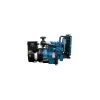 SEP-7.0 Radiator Cooled Diesel Generator 7.0 kW 60 Hz