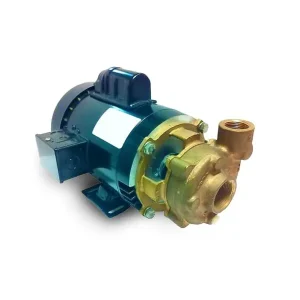 Scot Pump – 35065-2 – 3000 GPH Marine Centrifugal Pump