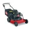 Toro 30 in. TurfMaster HDX Kohler Engine (22225)