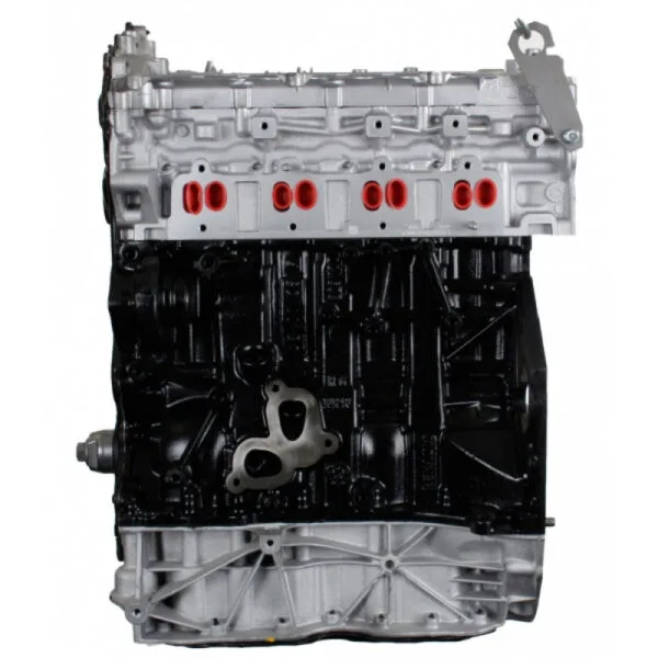 Engine Renault Vel Satis 2.0 dCi 150 173 Hp M9R