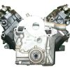 VEGE Long Block Crate Engines DB32