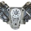 VEGE Long Block Crate Engines DD03
