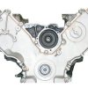 VEGE Long Block Crate Engines DFAY