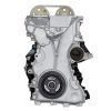 VEGE Long Block Crate Engines DFF1