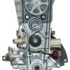 VEGE Long Block Crate Engines DFXE