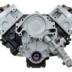 VEGE Long Block Crate Engines DFZY